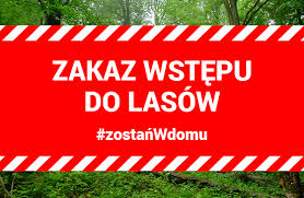 Tymczasowy zakaz wstępu do lasów