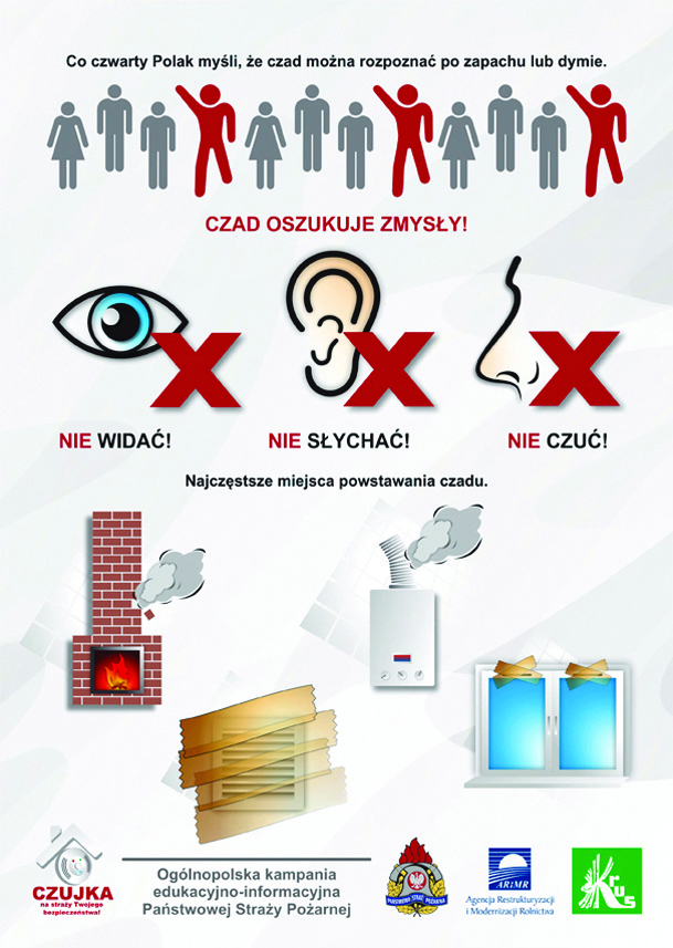 Inforgrafika, tekst pod infografiką.