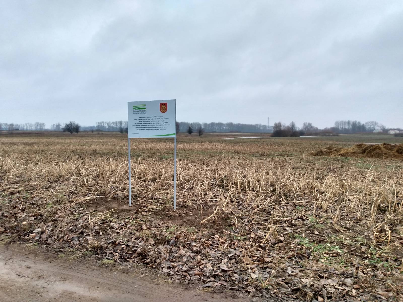 Tablica informacyjna zamontowana na terenie działki nieopodal ruin zamku w Kole