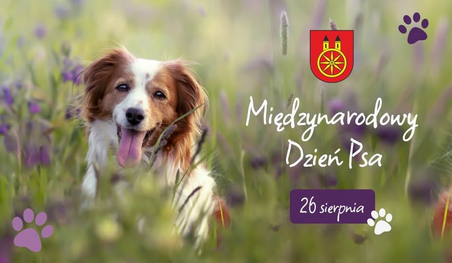 Grafika okolicznościowa. Biało-rudy pies z wywieszonym językiem na rozmytej łące z kwiatami. Biały napis Międzynarodowy Dzień Psa, data 26 sierpnia, ozdobne ślady psich łap i herb miasta Koła.