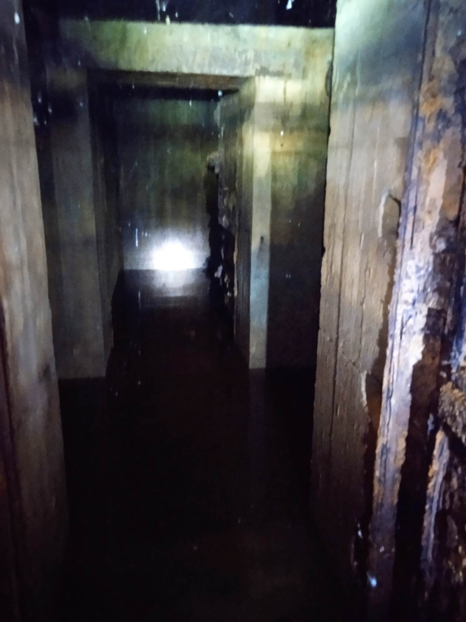 Wnętrze schronu z okresu II wojny światowej znajdującego się przy ul. Chrobrego w Kole