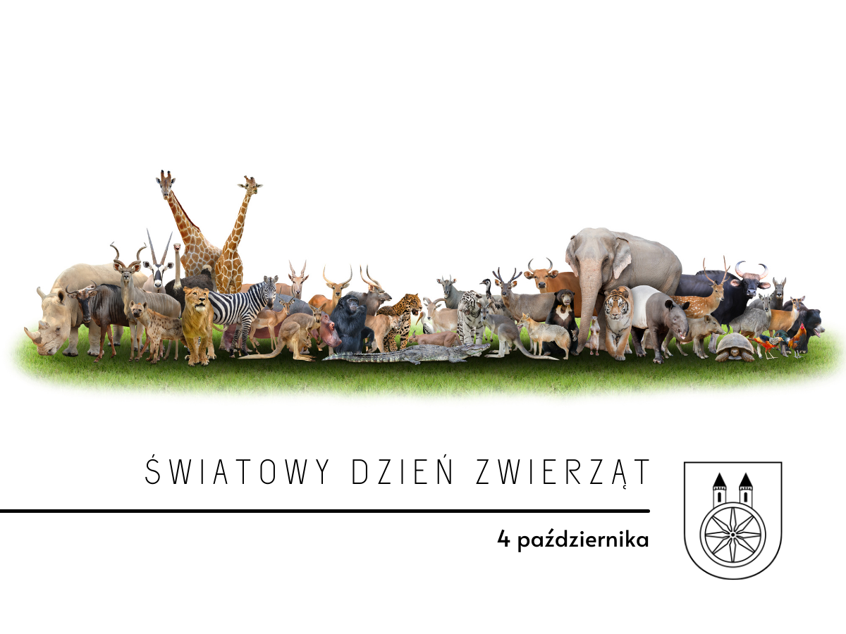 Plansza 4 PAŹDZIERNIKA Światowy Dzień Zwierząt, tekst pod planszą
