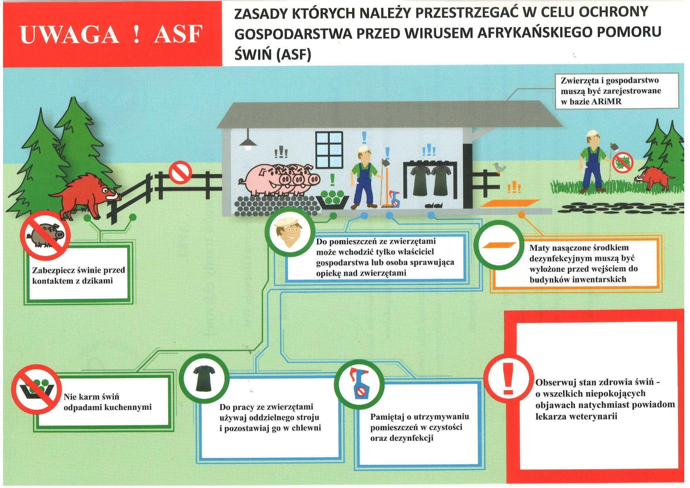 Plansza przedstawia zasady ochrony gospodarstwa przed wirusem afrykańskiego pomoru świń (ASF). Plansza służy jako przewodnik dla rolników, aby zapobiec rozprzestrzenianiu się ASF w ich gospodarstwach.