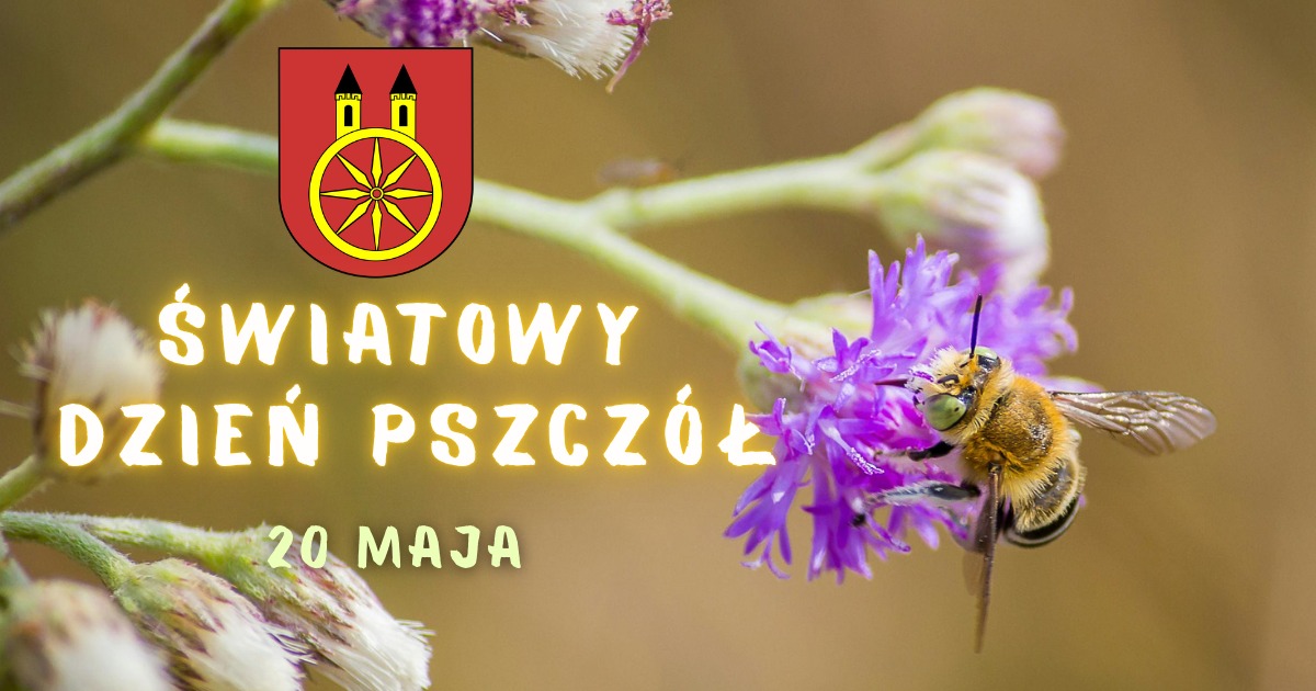 Grafika promująca Światowy Dzień Pszczół, który przypada 20 maja. Na obrazku widać pszczołę na kwiecie. Po lewej stronie znajduje się herb miasta Koła oraz napis Światowy Dzień Pszczół.