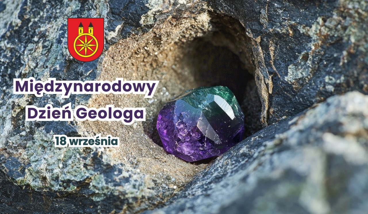 Brak zdjęcia.
