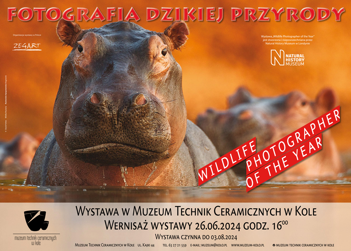 Brak zdjęcia.
