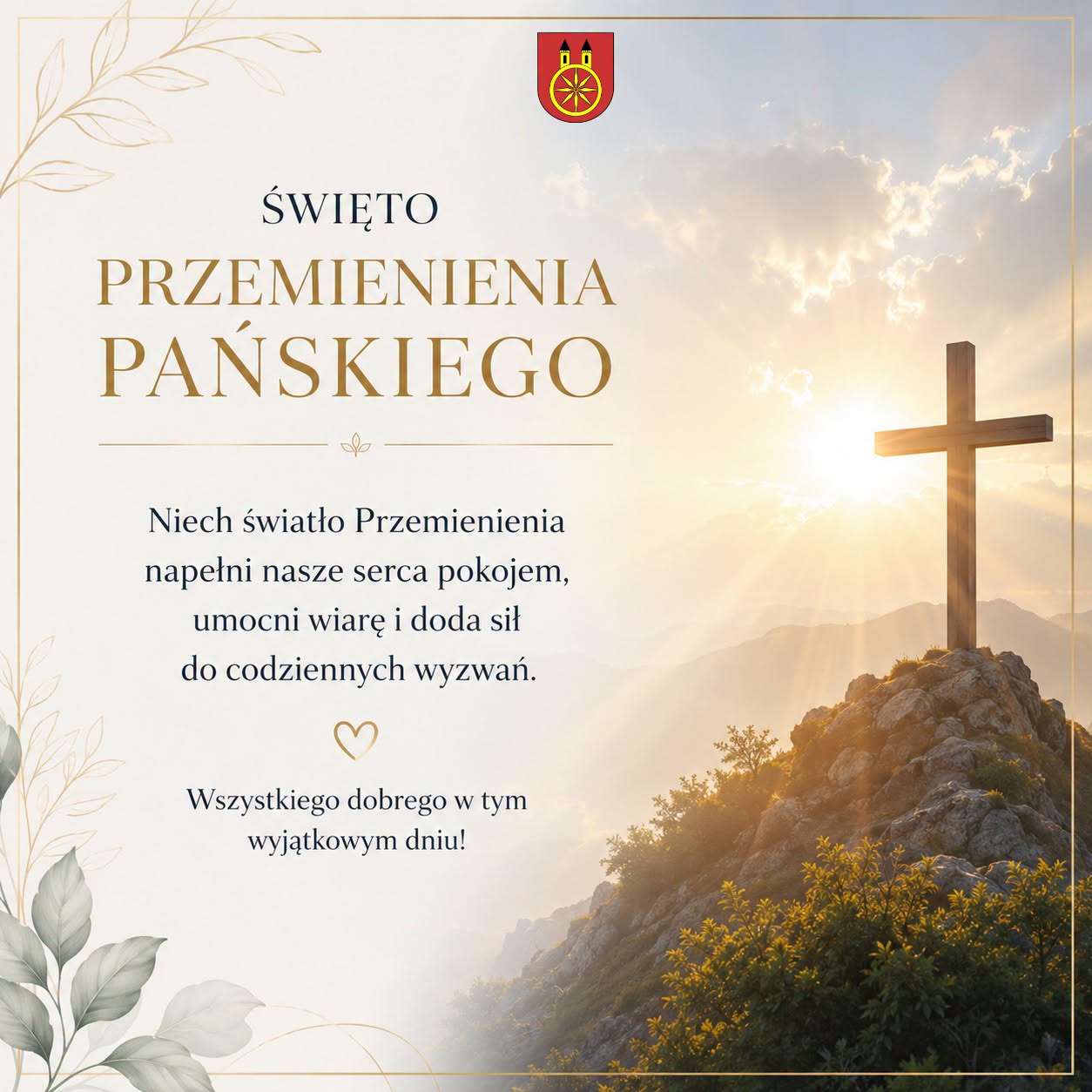 Brak zdjęcia
