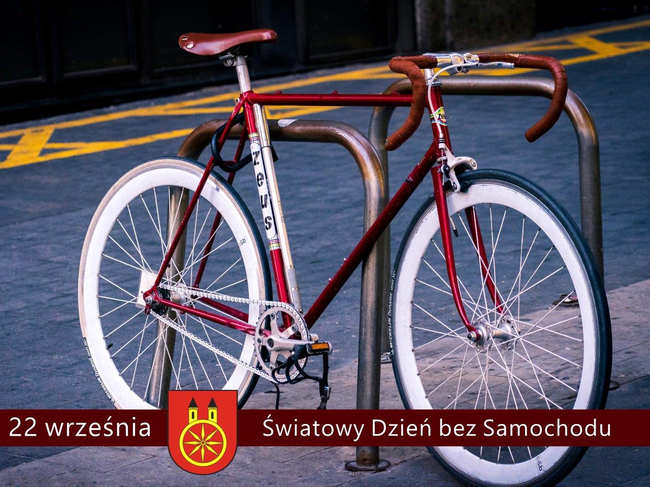 Brak zdjęcia.