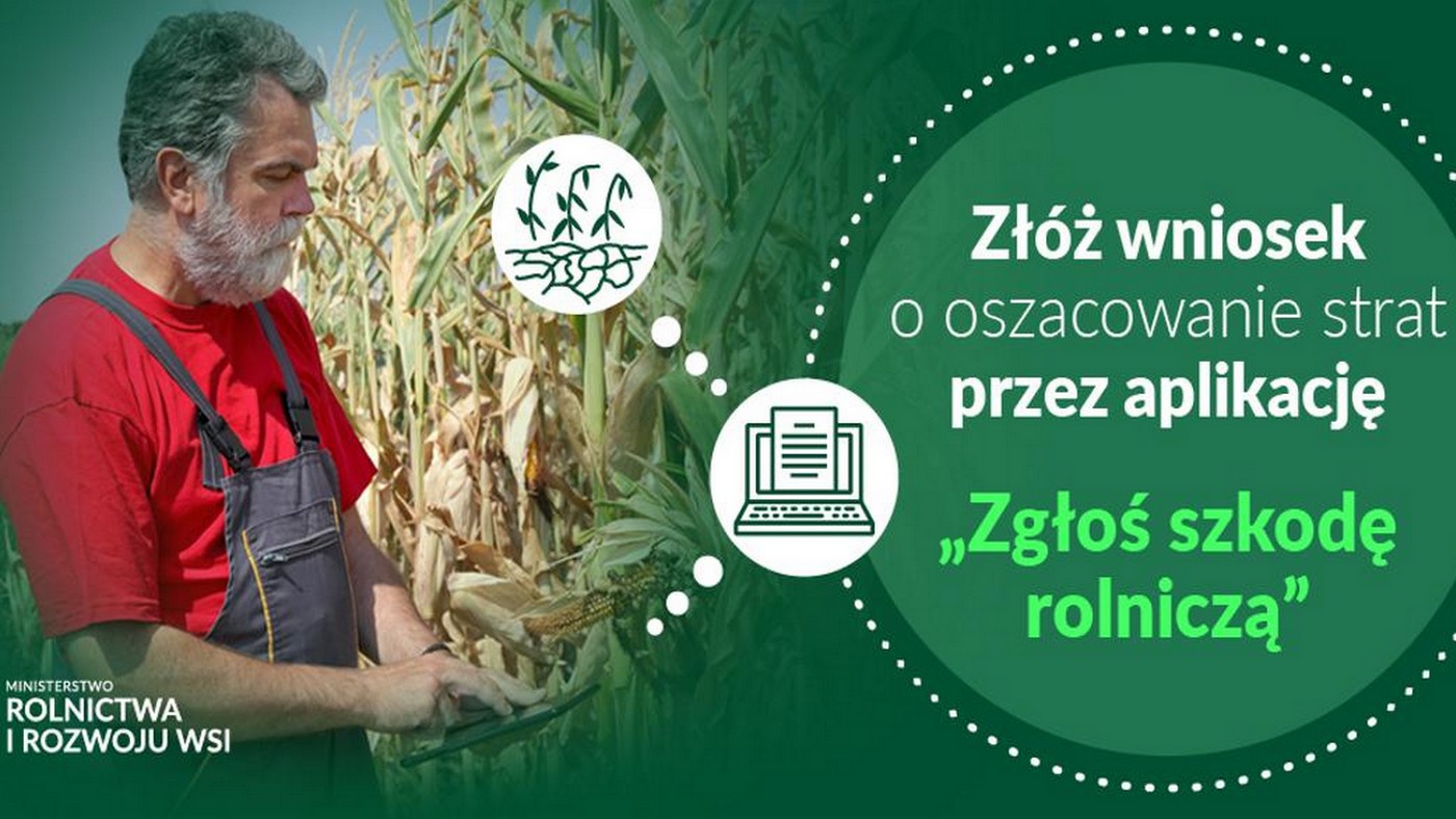 Infografika, złóż wniosek o oszacowanie strat przez aplikację ZGŁOŚ SZKODĘ ROLNICZĄ