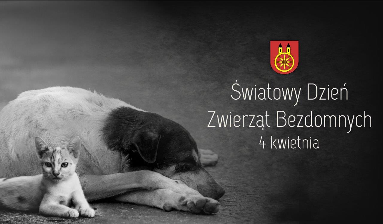Brak zdjęcia.