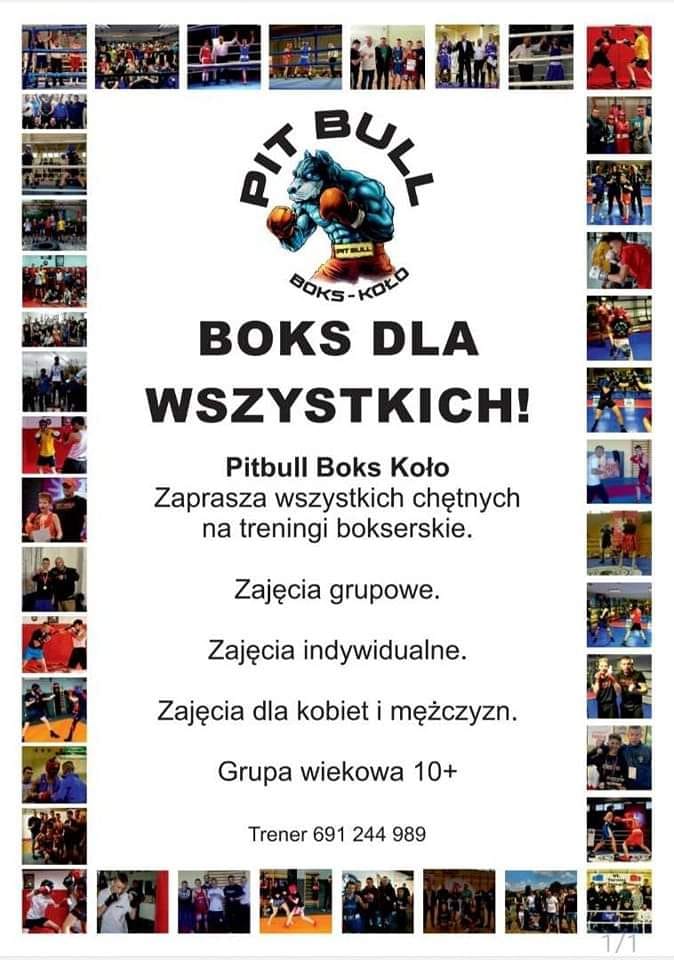Plakat PIT BULL BOKS-KOŁO zaprasza wszystkich chętnych na treningi bokserskie
