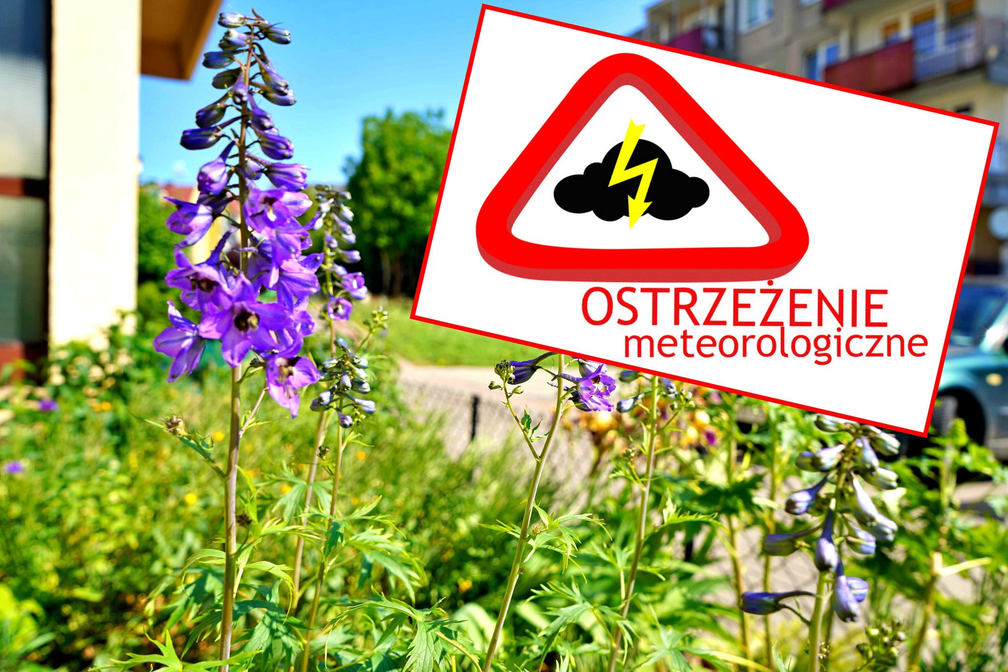 Plansza z napisem Ostrzeżenie meteorologiczne, na pierwszym planie kolorowe kwiaty, w tle blokowisko