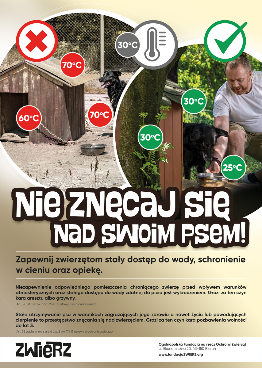 Ogólnopolska Fundacja na rzecz Ochrony Zwierząt apeluje, by latem podczas upałów zwrócić jeszcze większą uwagę na zwierzęta