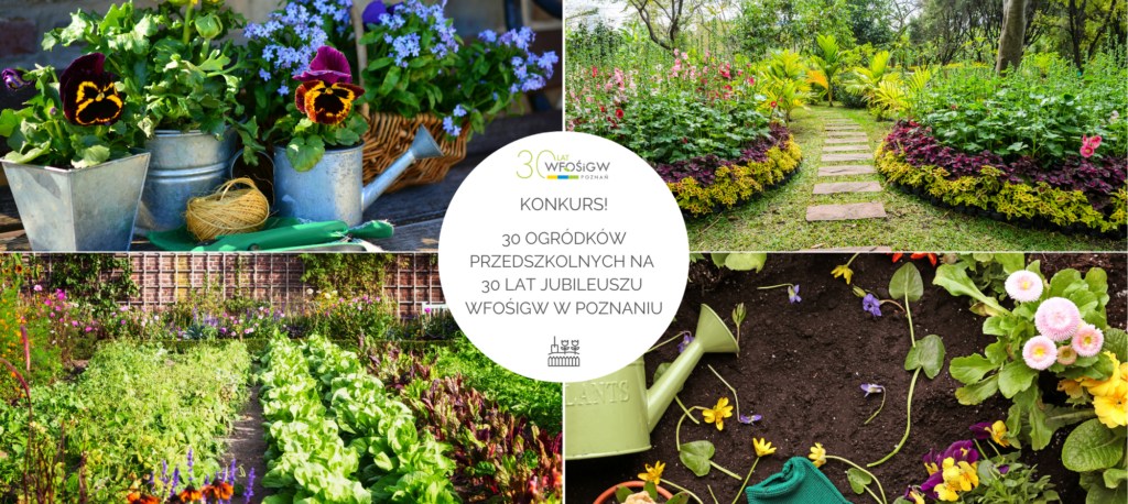 Brak zdjęcia.