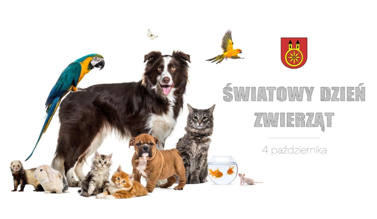 Plansza 4 PAŹDZIERNIKA Światowy Dzień Zwierząt, tekst pod planszą